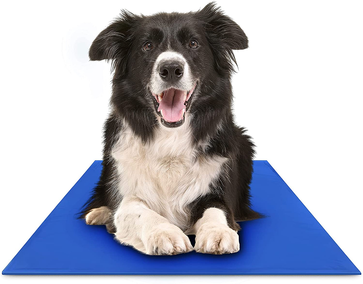 Self-Cooling Gel Dog Cooling Mat – Portable, Durable, Comfortable Cooling Pad for Dogs of All Sizes 2