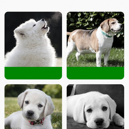 Silicone Pet Mat with Grass Design – Non-Slip, Easy to Clean Feeding Mat for Dogs and Cats, Vibrant Green 16.9cm x 36.1cm 5