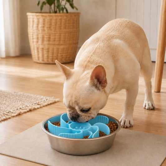 Slow feeder dog bowl insert with adjustable fit and stainless steel bowl, designed to promote slow eating for dogs and cats, featuring an engaging maze pattern for mental 0