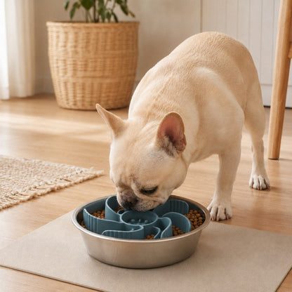 Slow feeder dog bowl insert with adjustable fit and stainless steel bowl, designed to promote slow eating for dogs and cats, featuring an engaging maze pattern for mental 9