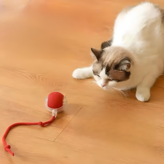 Smart Interactive Dog and Cat Ball Toy with Sound and Light – Engaging Pet Toy for All Ages 0