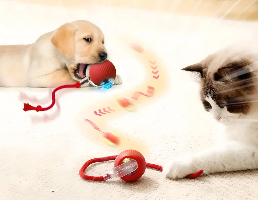 Smart Interactive Dog and Cat Ball Toy with Sound and Light – Engaging Pet Toy for All Ages 2