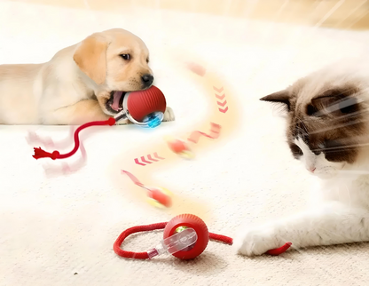Smart Interactive Dog and Cat Ball Toy with Sound and Light – Engaging Pet Toy for All Ages 2