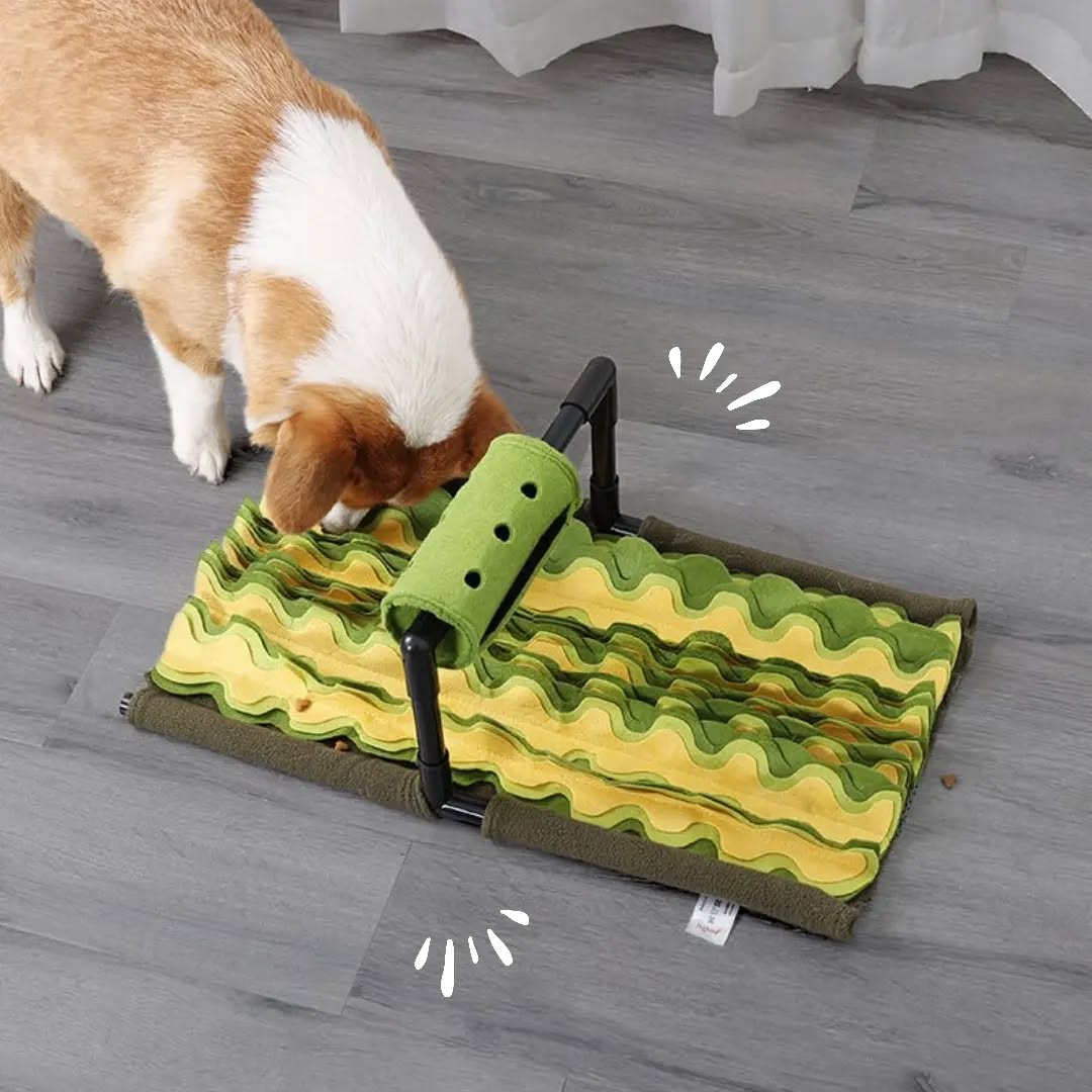 Snuffle Mat for Dogs – Stimulates Mental Activity and Slows Down Eating 0