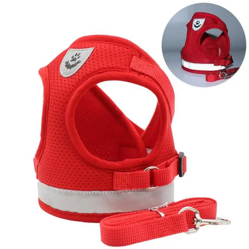 SnugWalk | Mesh Harness and Leash for Comfortable Walking 0