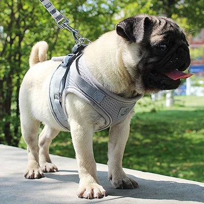 SnugWalk | Mesh Harness and Leash for Comfortable Walking 1