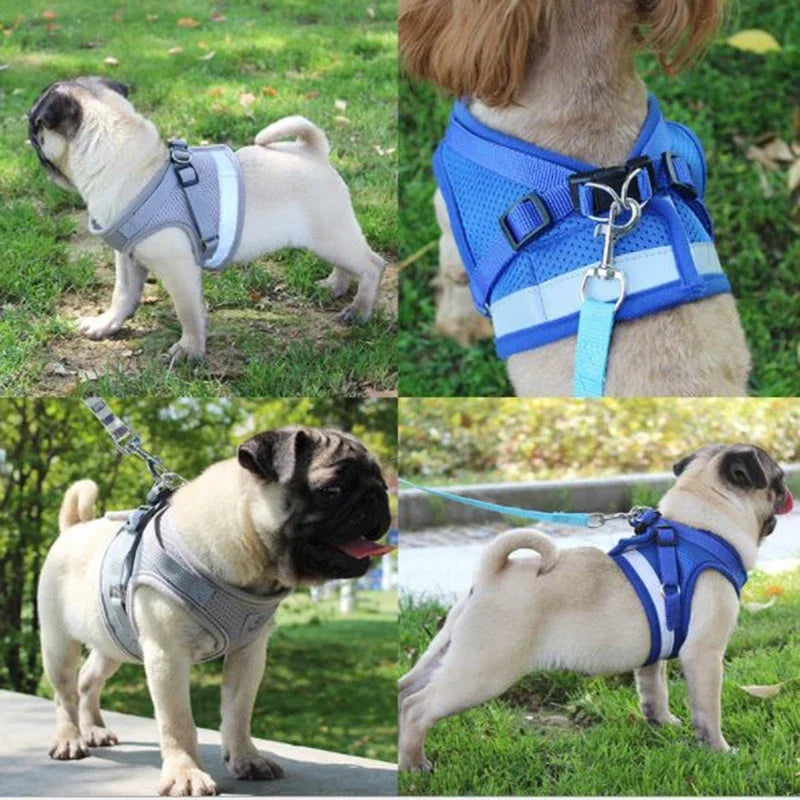 SnugWalk | Mesh Harness and Leash for Comfortable Walking 2