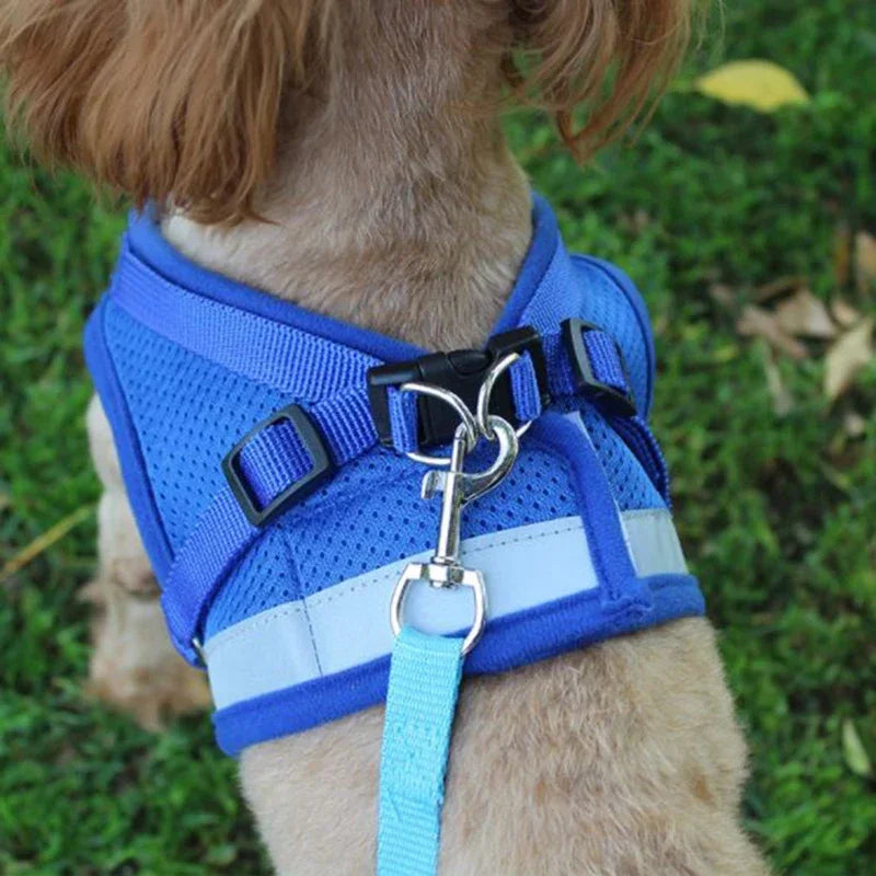 SnugWalk | Mesh Harness and Leash for Comfortable Walking 4