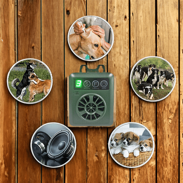 SoftSound | Safe Anti-Ring System 2