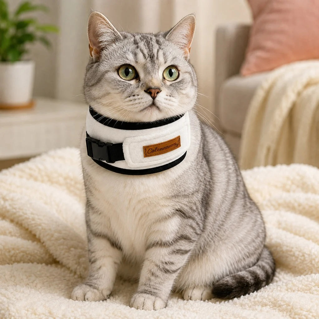 Soft Cat Recovery Collar featuring adjustable fleece padding, designed for post-surgery care to prevent licking and ensure comfort. 9