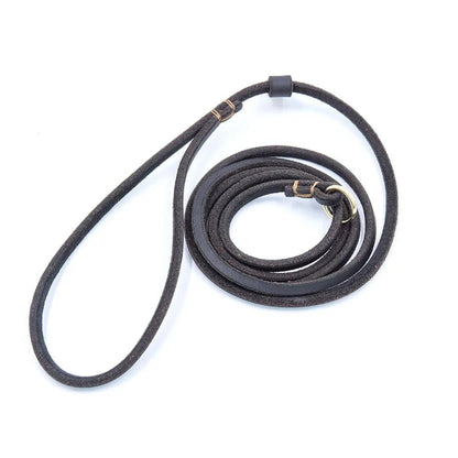 Soft Leather Dog Leash and Collar 2-in-1 Adjustable Design for Comfortable Walking - Natural Leather 0