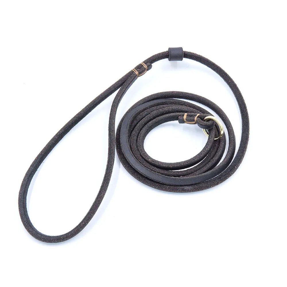 Soft Leather Dog Leash and Collar Combo – Adjustable 2-in-1 Design for Comfortable Walks, Durable and Stylish 0
