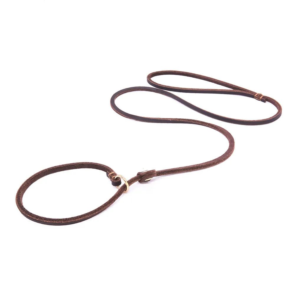 Soft Leather Dog Leash and Collar Combo – Adjustable 2-in-1 Design for Comfortable Walks, Durable and Stylish 1