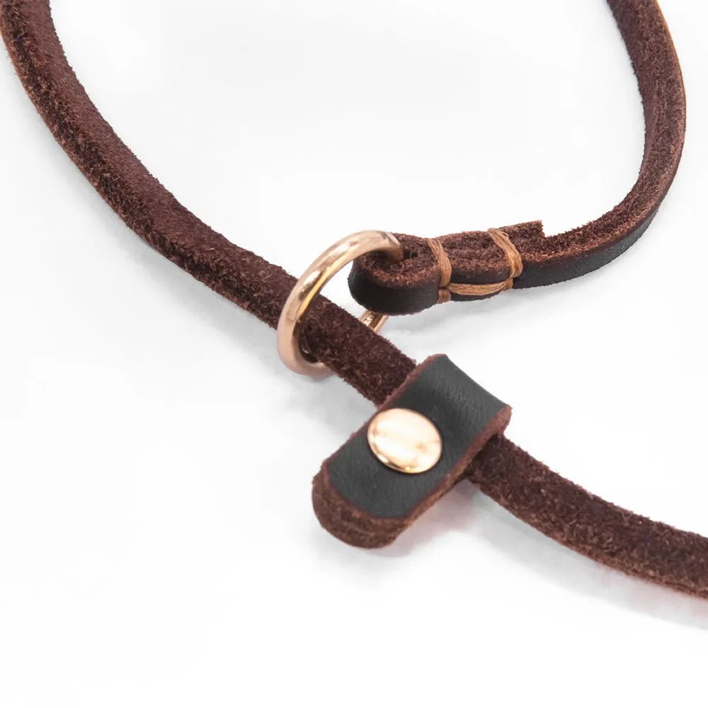 Soft Leather Dog Leash and Collar Combo – Adjustable 2-in-1 Design for Comfortable Walks, Durable and Stylish 3