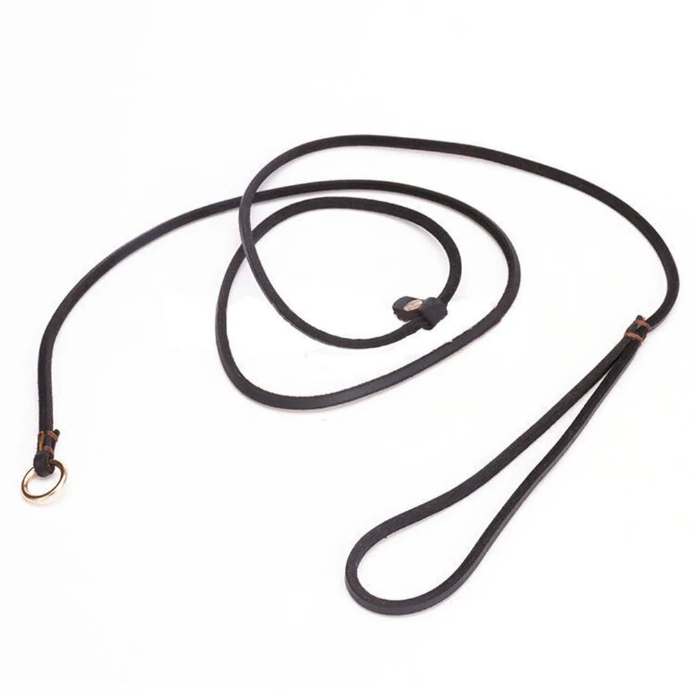Soft Leather Dog Leash and Collar Combo – Adjustable 2-in-1 Design for Comfortable Walks, Durable and Stylish 5