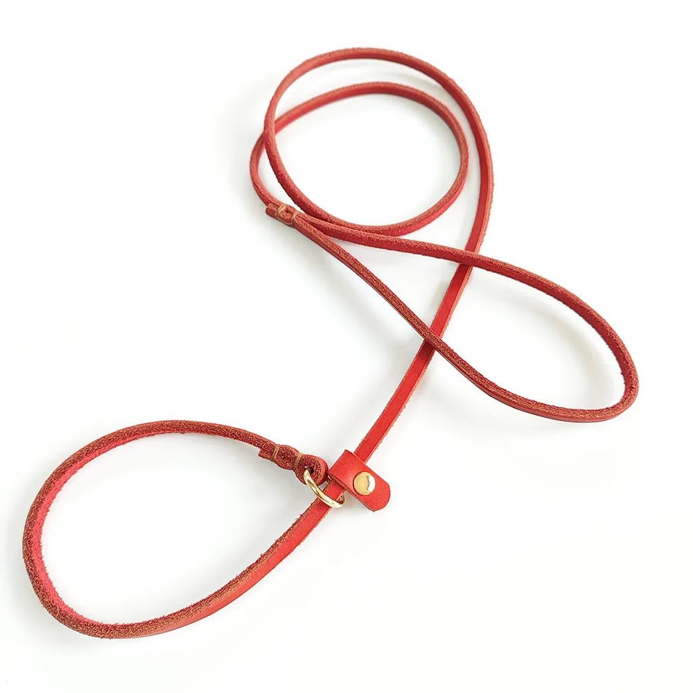 Soft Leather Dog Leash and Collar Combo – Adjustable 2-in-1 Design for Comfortable Walks, Durable and Stylish 7
