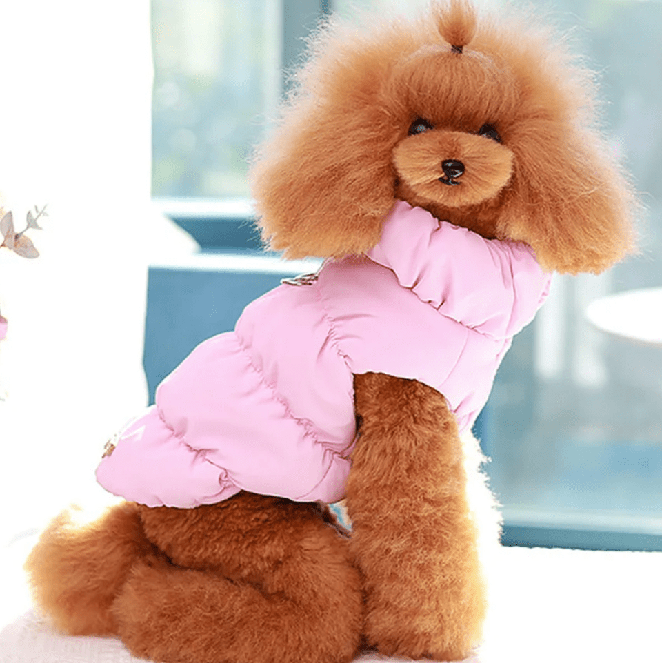 Soft Padded Dog Coat for Winter – Warm and Comfortable Jacket for Small to Medium Breeds, Available in Pink, Blue, Khaki 8