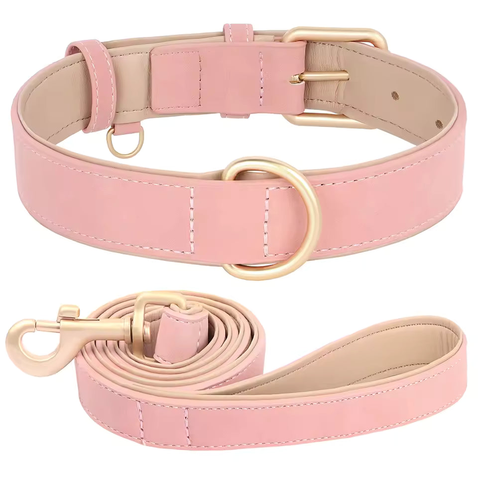 Soft Padded Dog Collar and Leash Set for Small to Medium Breeds – Stylish and Comfortable 0