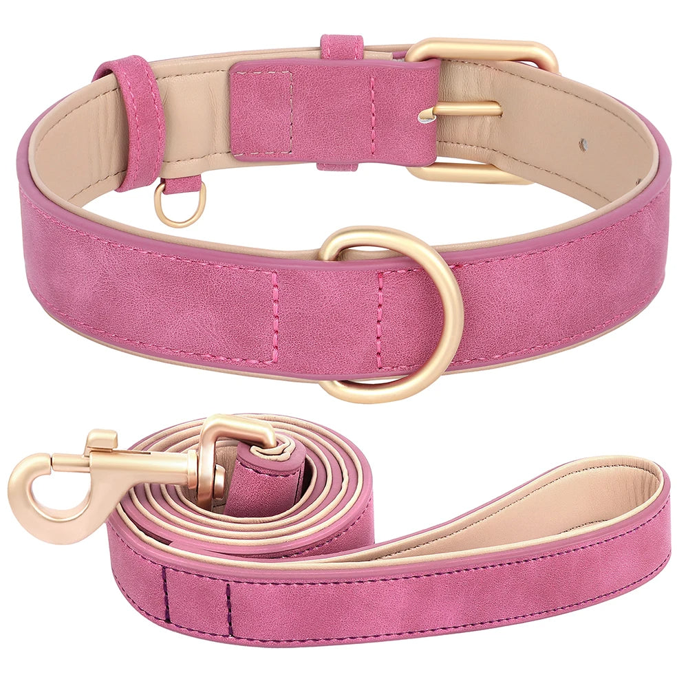 Soft Padded Dog Collar and Leash Set for Small to Medium Breeds – Stylish and Comfortable 1