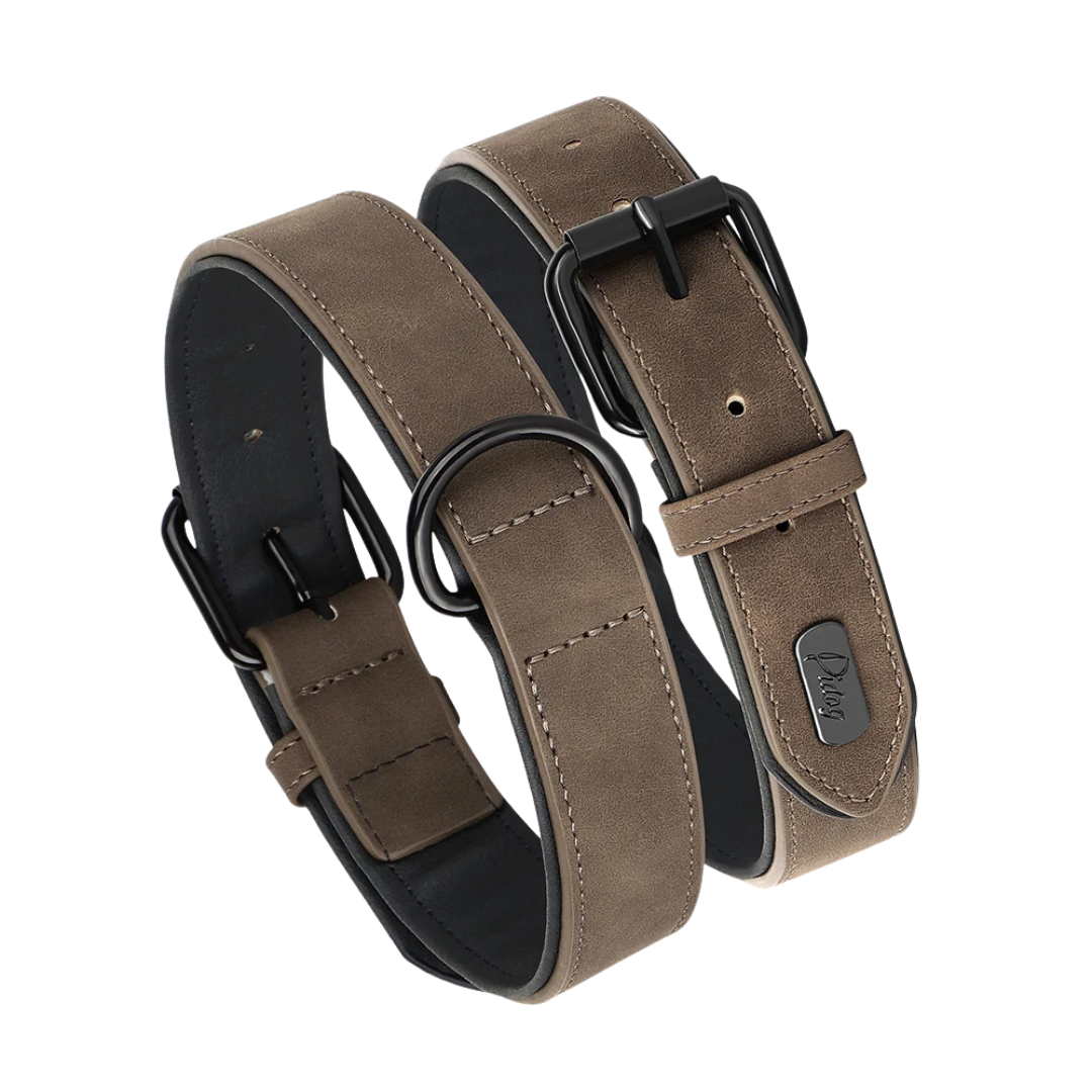 Soft Padded PU Leather Dog Collar for All Breeds – Durable and Comfortable 0