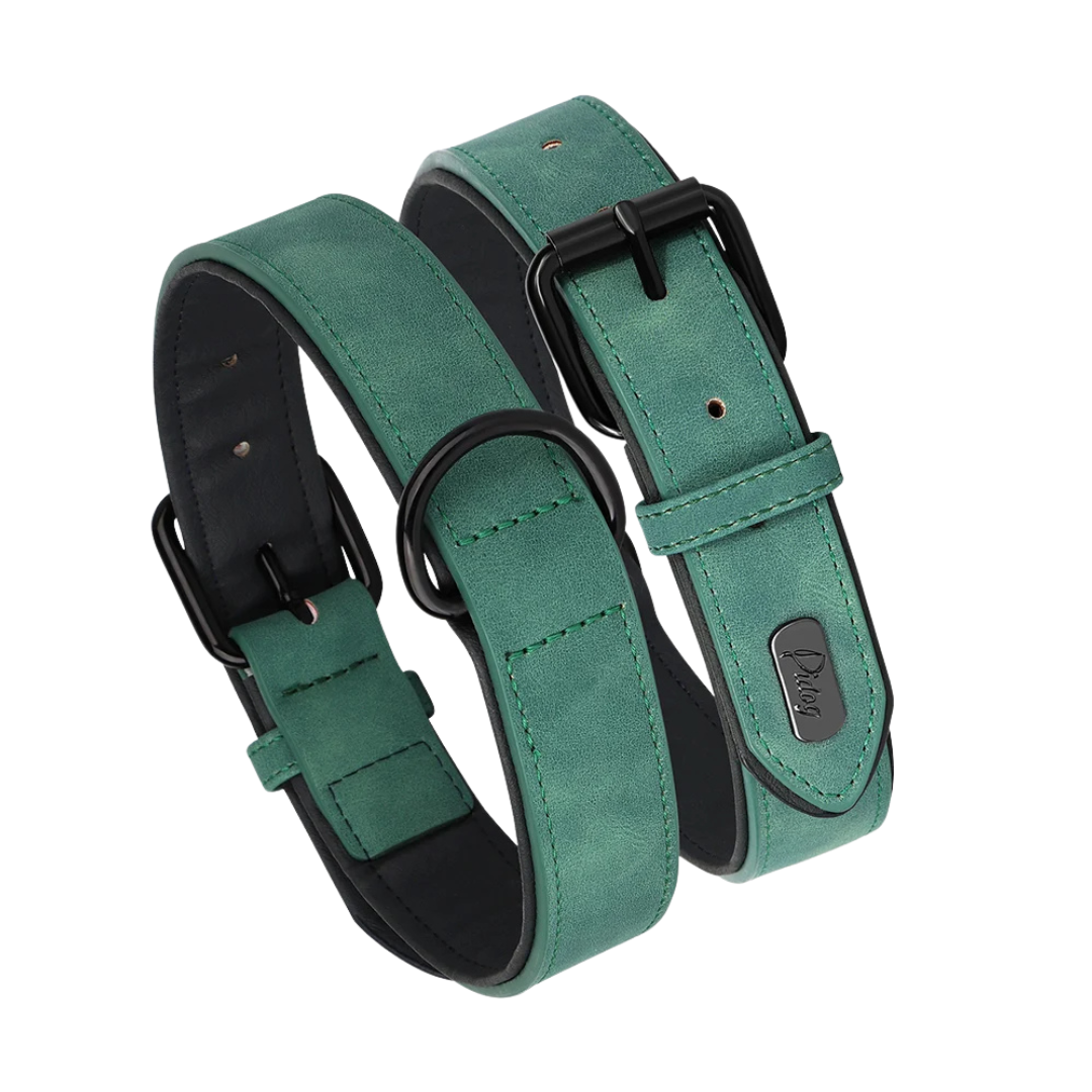 Soft Padded PU Leather Dog Collar for All Breeds – Durable and Comfortable 2
