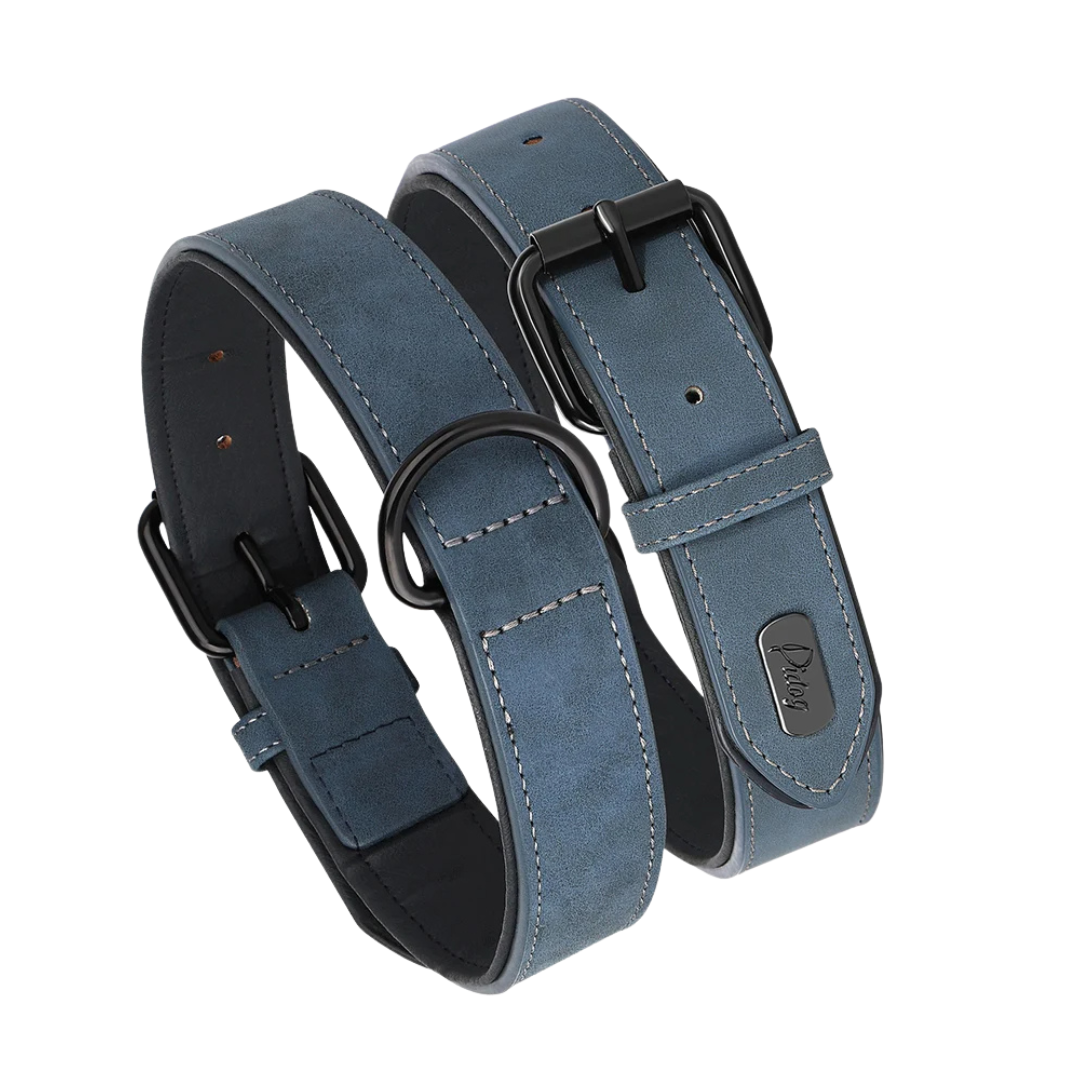 Soft Padded PU Leather Dog Collar for All Breeds – Durable and Comfortable 3
