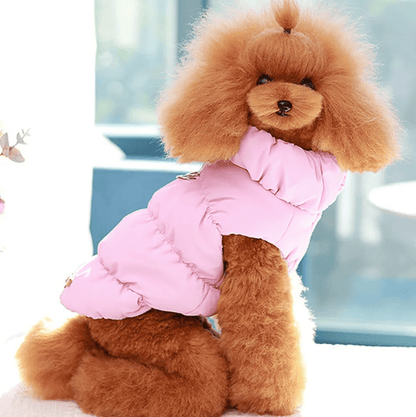 Soft Padded Winter Coat for Small to Medium Pets – Comfortable and Warm 8