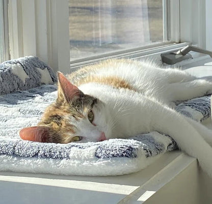 Soft Pet Blanket for Dogs and Cats - Machine Washable Dog Blanket for Couch, Various Sizes, Plush Fabric 5