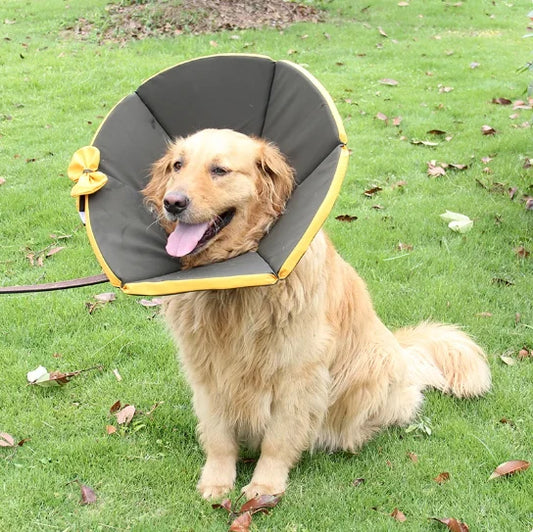 Soft protective dog collar for post-surgery recovery, featuring a lightweight fabric design in yellow and brown, ideal for keeping pets comfortable and safe during healing. 0