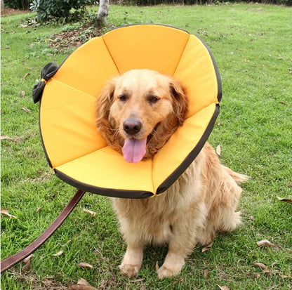 Soft protective dog collar for post-surgery recovery, featuring a lightweight fabric design in yellow and brown, ideal for keeping pets comfortable and safe during healing. 1