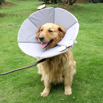 Soft protective dog collar for post-surgery recovery, featuring a lightweight fabric design in yellow and brown, ideal for keeping pets comfortable and safe during healing. 4