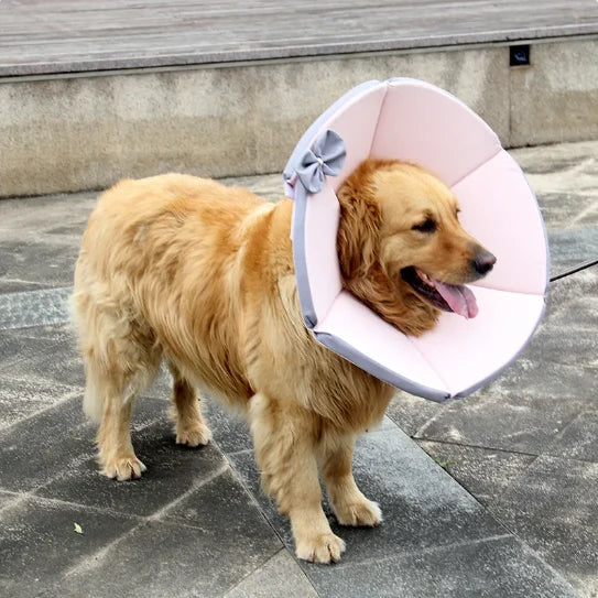 Soft protective dog collar for post-surgery recovery, featuring a lightweight fabric design in yellow and brown, ideal for keeping pets comfortable and safe during healing. 5