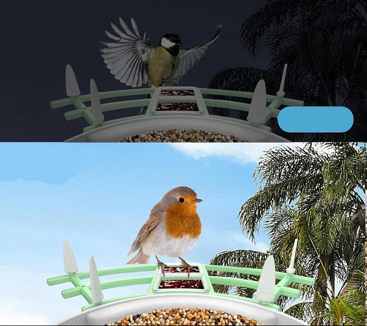 Solar Powered Smart Bird Feeder with WiFi, Night Vision, and Two-Way Audio – Eco-Friendly Birdwatching Camera 2