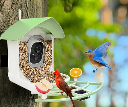 Solar Powered Smart Bird Feeder with WiFi, Night Vision, and Two-Way Audio – Eco-Friendly Birdwatching Camera 3