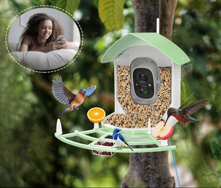 Solar Powered Smart Bird Feeder with WiFi, Night Vision, and Two-Way Audio – Eco-Friendly Birdwatching Camera 4