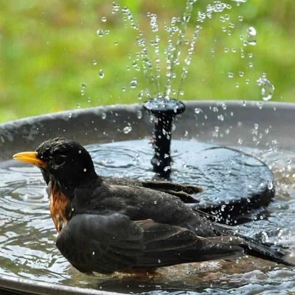 Solar Water Fountain for Garden - Eco-Friendly Outdoor Feature with Multiple Spray Patterns for Bird Baths and Ponds 1