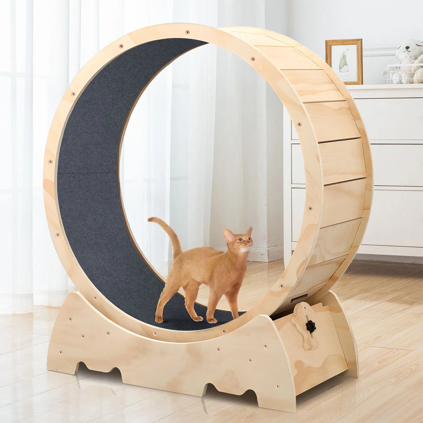 Solid Wood Cat Exercise Wheel for Indoor Fitness – Quiet and Durable Design 0