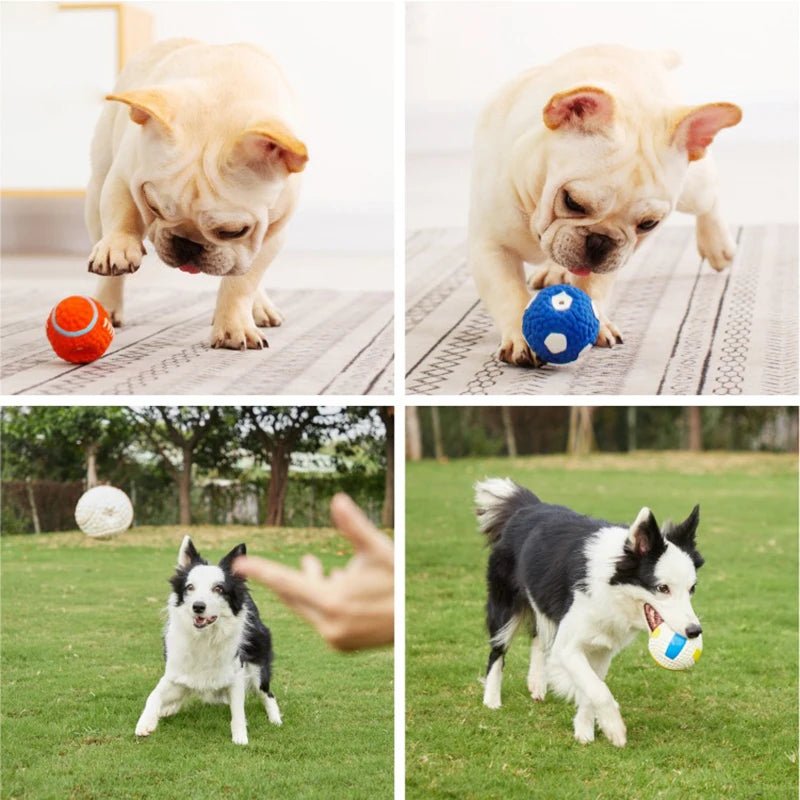 Squeaky Dog Toy Ball for Active Play and Dental Care – Soft Latex, Various Sports Designs, Ideal for All Dogs 6