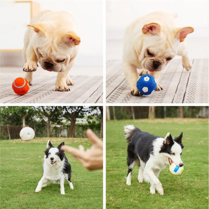 Squeaky Dog Toy Ball for Active Play and Dental Care – Soft Latex, Various Sports Designs, Ideal for All Dogs 6