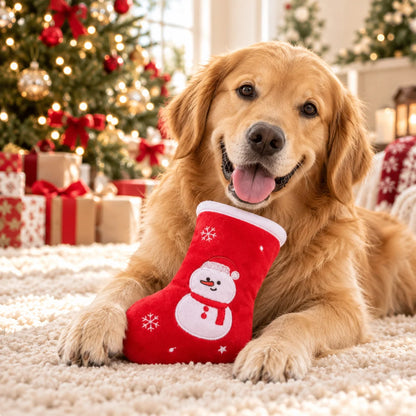 Squeaky dog toy in a festive Christmas stocking design, perfect for interactive play and holiday fun for pets. 0