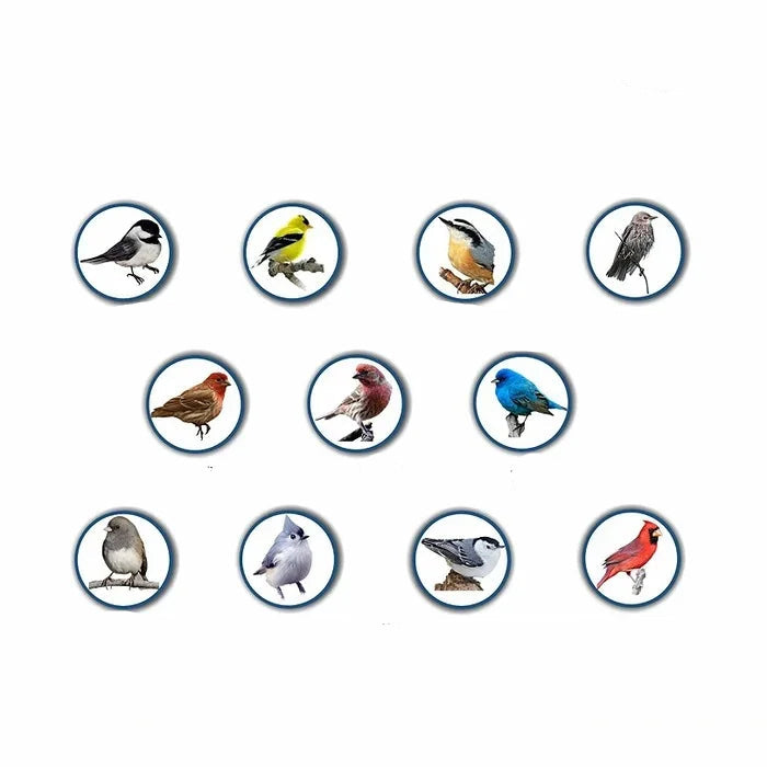 Squirrel Proof Bird Feeder with Weight-Activated Perch – Durable Metal Construction for Backyard Birds 5