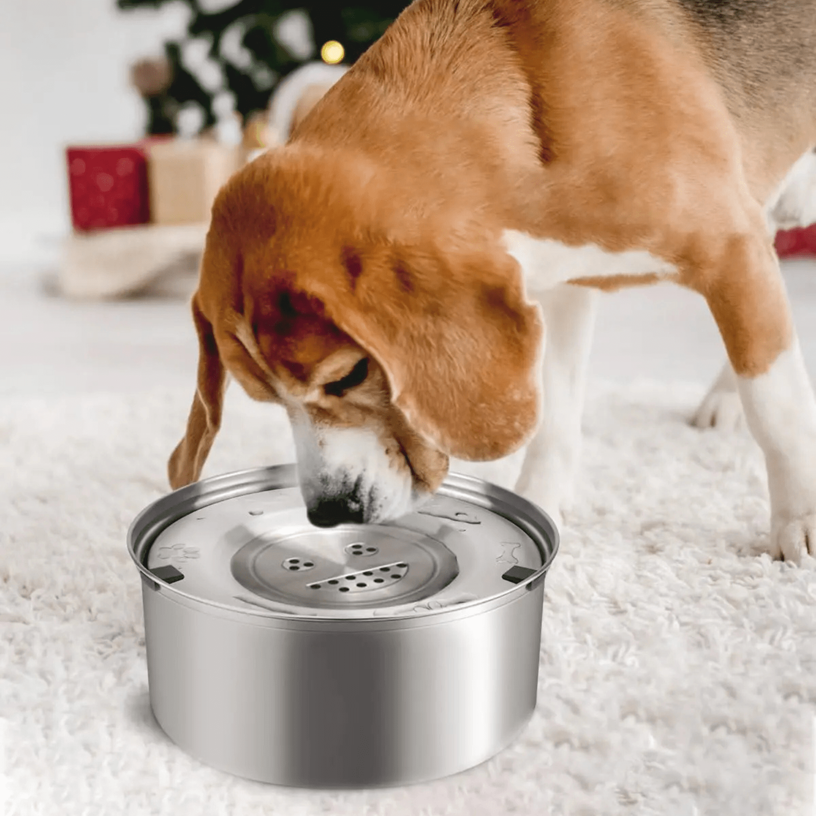 Stainless Steel Anti-Spill Dog Water Bowl – 1L and 3L Options 6