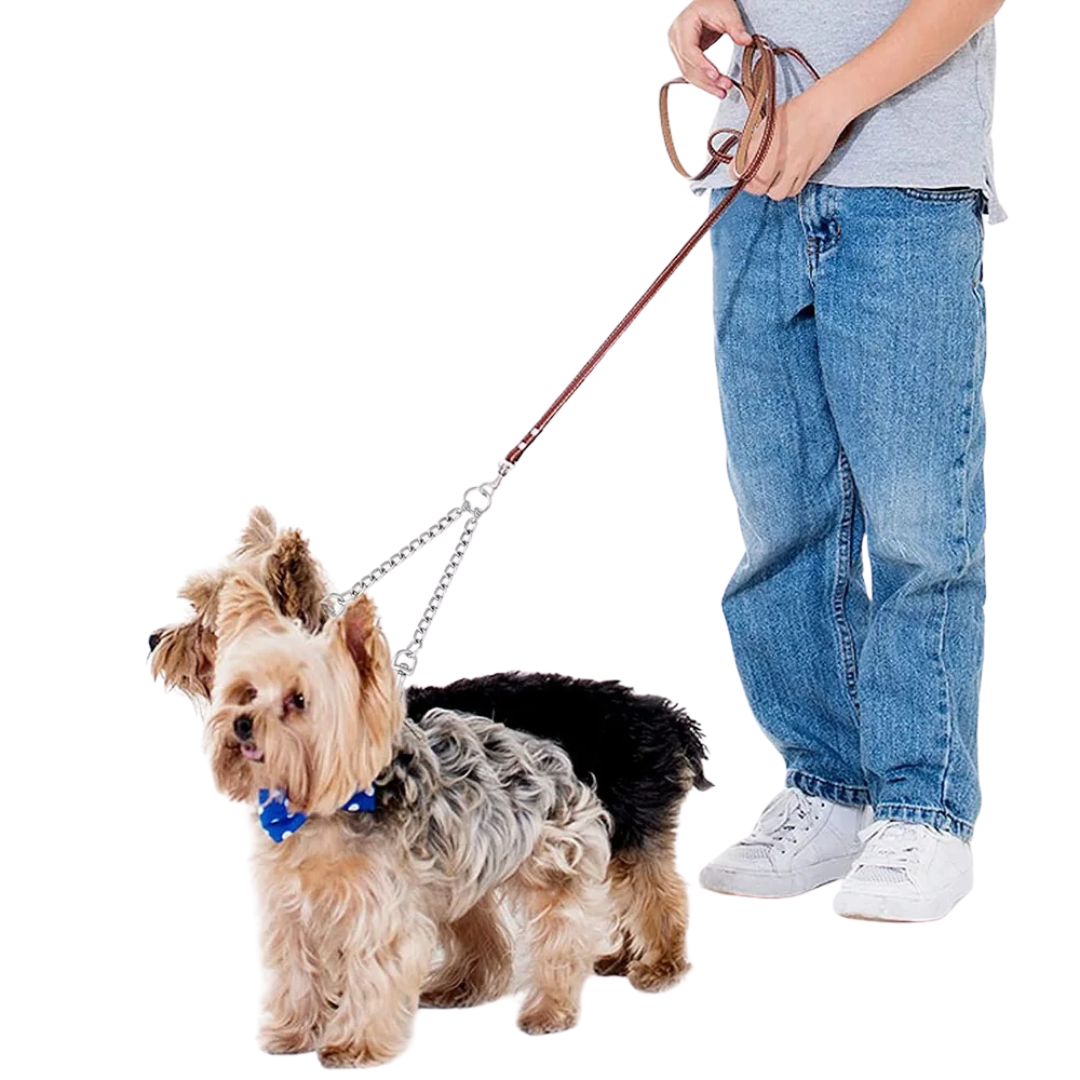 Stainless Steel Double Barrel Dog Leash for Medium and Large Dogs – 150cm Tangle Resistant Training Leash 1