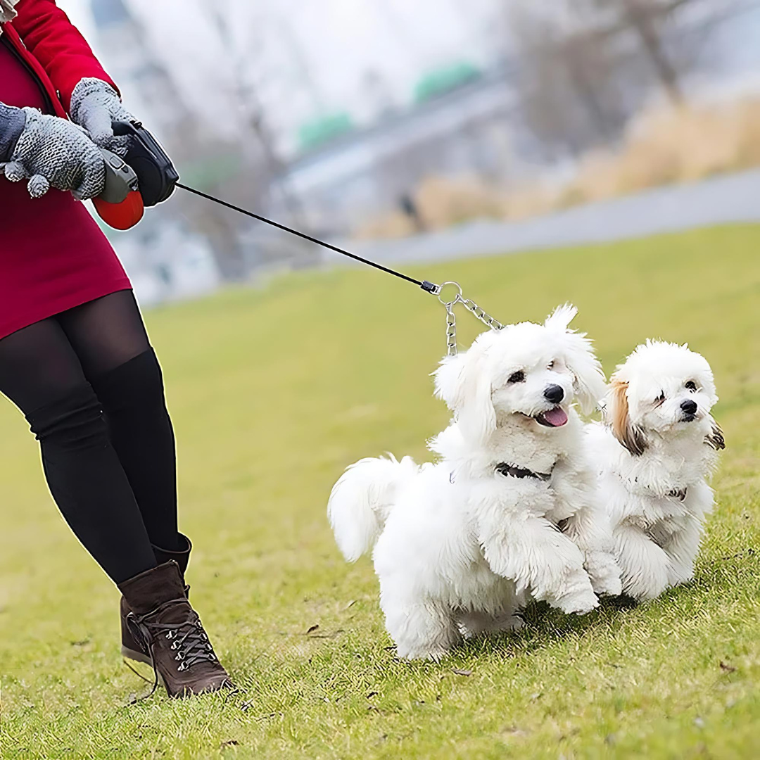 Stainless Steel Double Barrel Dog Leash for Medium and Large Dogs – 150cm Tangle Resistant Training Leash 2