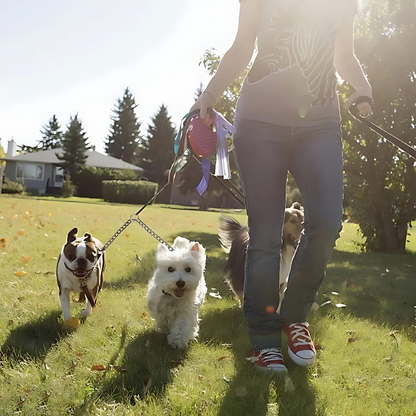 Stainless Steel Double Barrel Dog Leash for Medium and Large Dogs – 150cm Tangle Resistant Training Leash 3