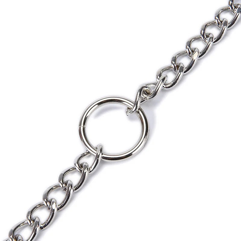 Stainless Steel Double Barrel Dog Leash for Medium and Large Dogs – 150cm Tangle Resistant Training Leash 7