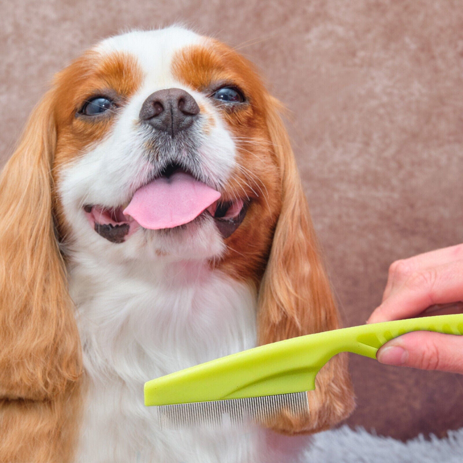 Stainless Steel Flea Comb for Cats and Dogs featuring fine teeth for gentle grooming and effective pest control. 3