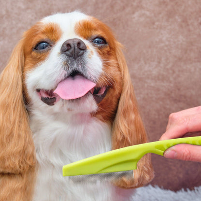 Stainless Steel Flea Comb for Cats and Dogs featuring fine teeth for gentle grooming and effective pest control. 3