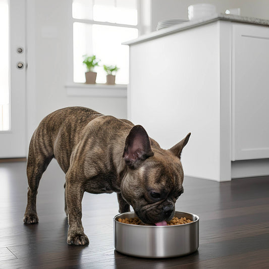 Stainless Steel Non-Slip Dog Bowl – Durable, Easy to Clean Feeding Solution for Comfortable Mealtimes 0