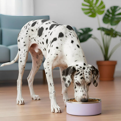 Stainless Steel Non-Slip Dog Bowl – Durable, Easy to Clean Feeding Solution for Comfortable Mealtimes 4